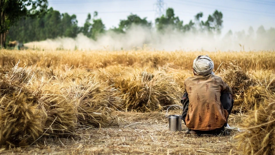 Pixabay/Aamir Mohd Khan: Advances in GC for Environmental & Food industry