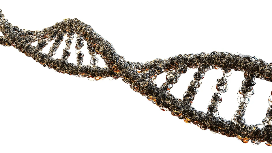 Pixabay/LionFive: Advancing Top-Down Proteomics for Precision Medicine on the timsTOF Pro