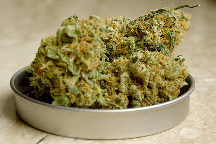 Pixabay/Miloslav Hamřík: Overcoming Analytical Challenges for Mandatory Testing of Pesticides in Cannabis Products to Comply with Health Canada Guidance