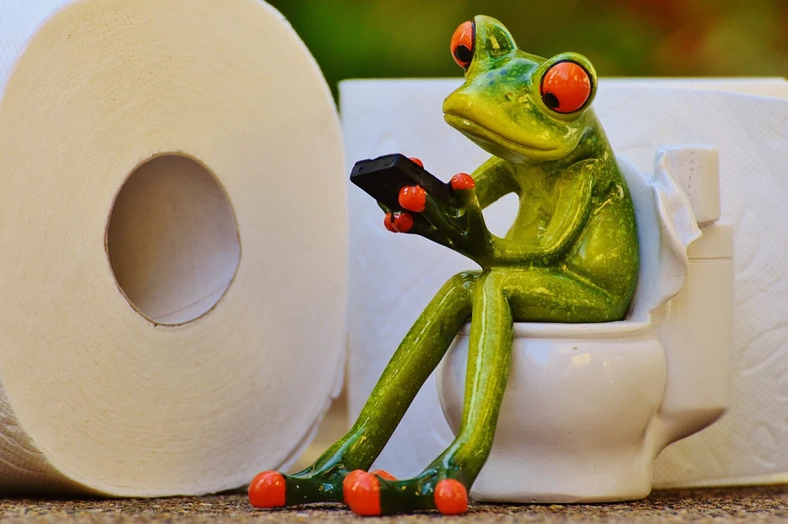 <p>Pixabay, Alexas_Fotos: Plynový chromatograf a hmotnostní spektrometr pro diagnostiku přimo na toaletě.</p>
