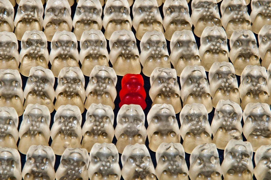 <p>Pixabay</p>
