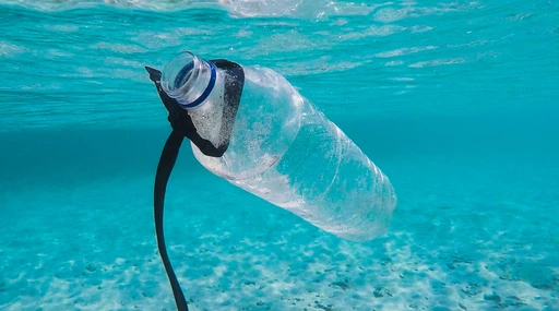 Kvantifikace mikroplastů ve vzorcích životního prostředí s využitím pyrolýzy a GC/MSD