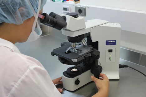 Chemici pomohou biologům s popisem kmenových buněk