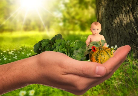 Souhrn aplikací pro stanovení reziduí pesticidů pomocí GC/MS, LC/MS a IC/MS v potravinách