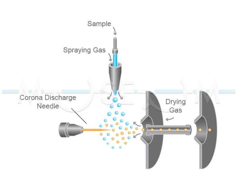 The Czech Museum of Mass Spectrometry/Martin Strohalm