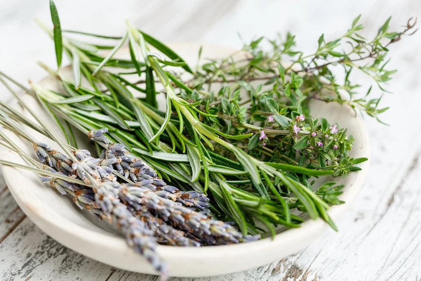 Pixabay/gate74: Let's Protect Our Health With Herbs! Analytical Insights into Herbal Medicine