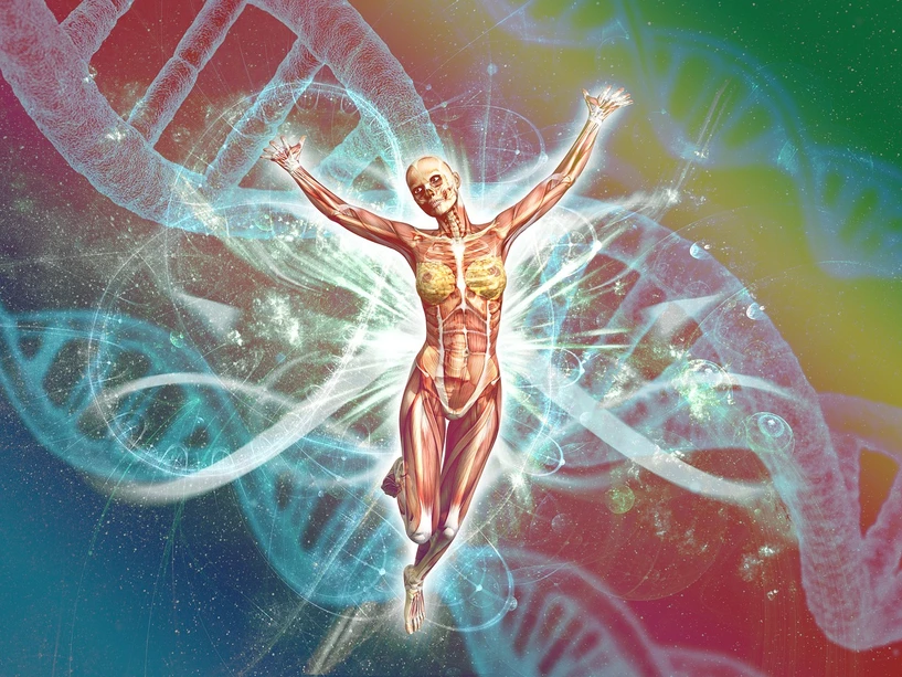 Pixabay/PixxlTeufel: Development of a high-throughput lipidomics platform and its application in population-level genetic studies