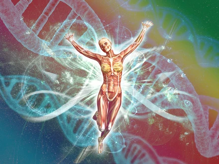 Development of a high-throughput lipidomics platform and its application in population-level genetic studies