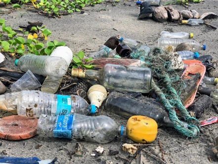 Velké téma současnosti: výskyt mikroplastů v životním prostředí a jejich stanovení