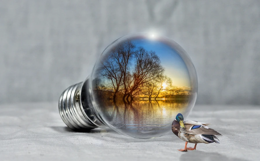 <p>Pixabay/PIRO4D: Environment - Overview of GC and GCMS Application in 2020</p>
