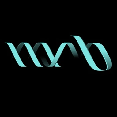 MSB 2024