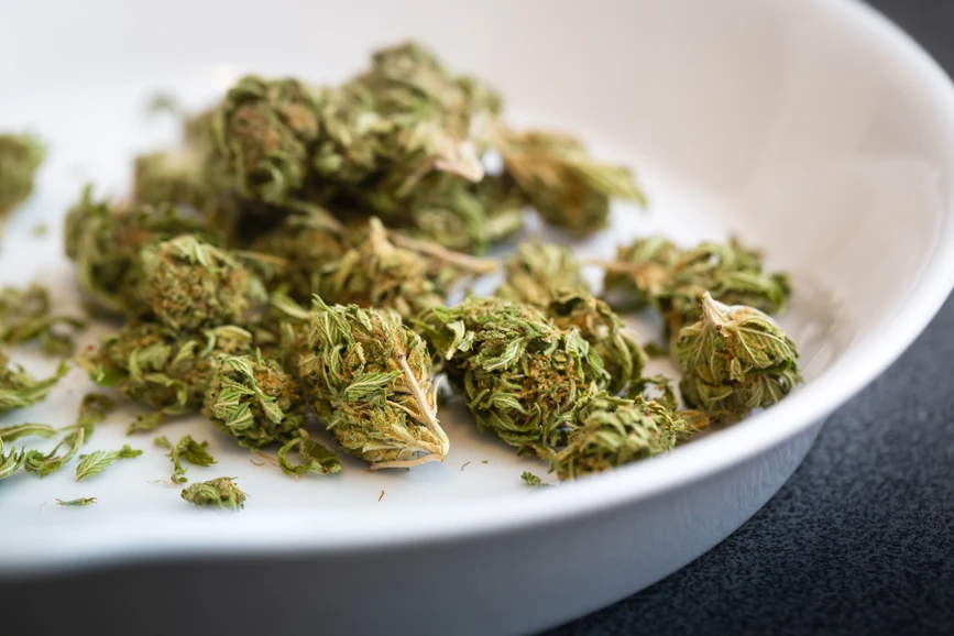 Pixabay/Uwe Conrad: The Rapid and Accurate Analysis of Terpenes in a Commercial Laboratory Setting