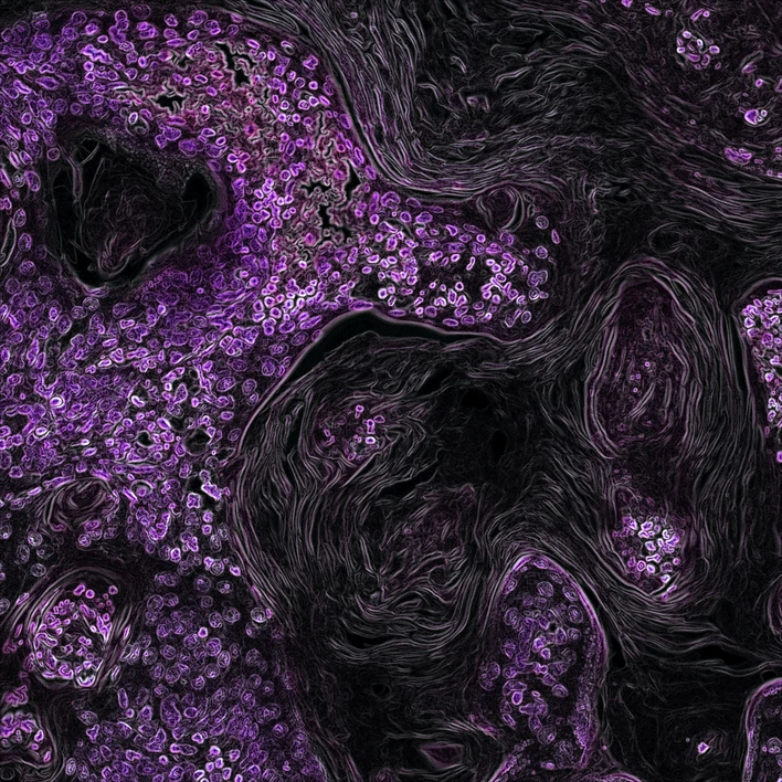 Unsplash/National Cancer Institute: Proteome analysis reveals pathways of corticoid- & shape constraint-induced transdifferentiation of the hepatic cell line HepaRG