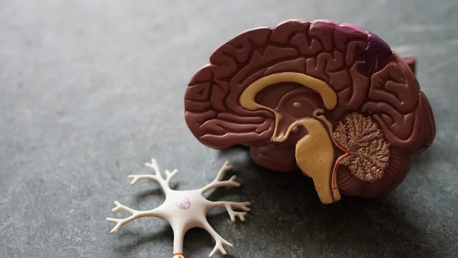 Unsplash/Robina Weermeijer: LC/MS to reveal the hidden post-translational modifications in neurodegeneration