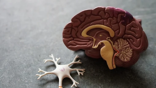 LC/MS to reveal the hidden post-translational modifications in neurodegeneration 
