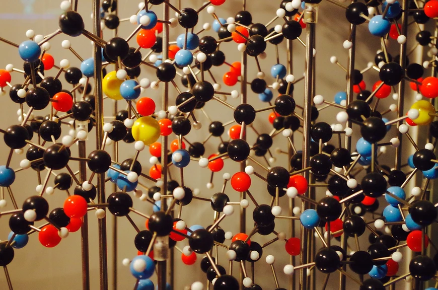 Pixabay/Nobu Hirowumi: Targeted Proteomics Quantitative Workflows: Considerations for Success