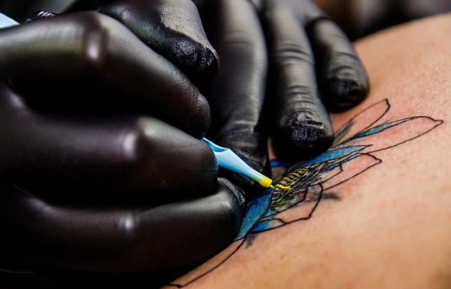 Pixabay/Marcelo Bragion: Analysis of tattoo pigments in skin samples: Complementary molecular and elemental imaging using LDI-timsTOF-MS and µXRF