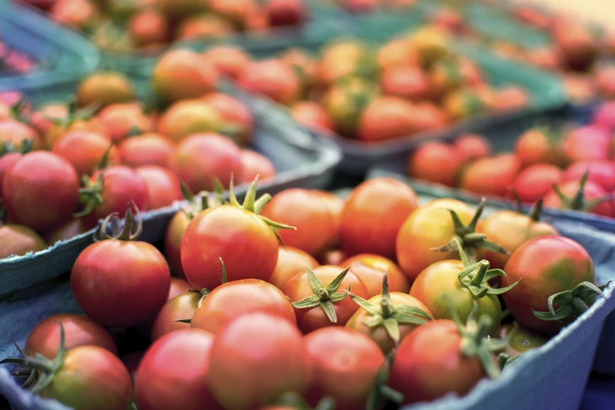 Pixabay/M. Maggs: Advances in Gas Chromatography for Challenging Separation in Environmental and Food Industry