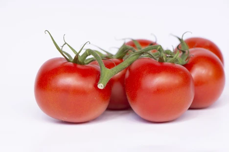 Komplexní rajčata a stanovení reziduí pesticidů pomocí GCxGC-TOFMS 
