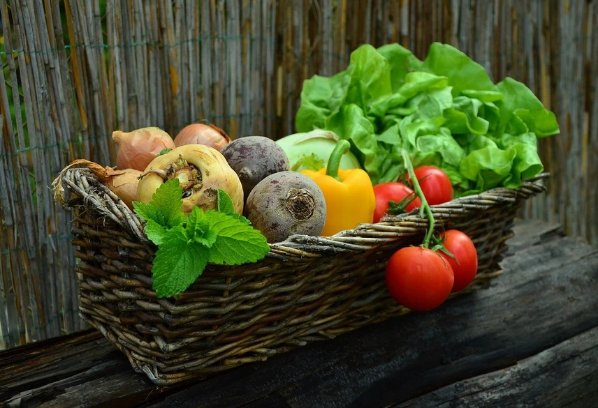 Pixabay/congerdesign: Dilution and Sensitivity: Effects on a Food Contaminant Mega-Method
