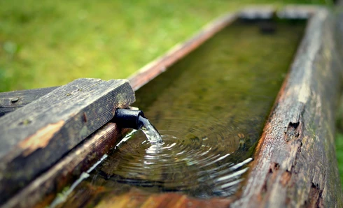 Měření nederivatizovaného glyfosátu a dalších polárních pesticidů v povrchové a pitné vodě