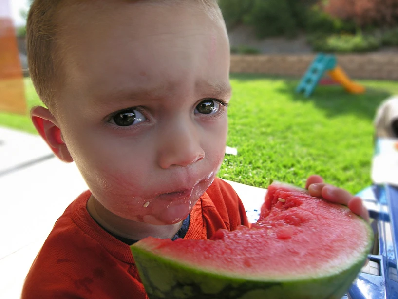 Pixabay/dbenson928: What Every Pesticide Analyst Needs to Know: Expert Roundtable Discussion