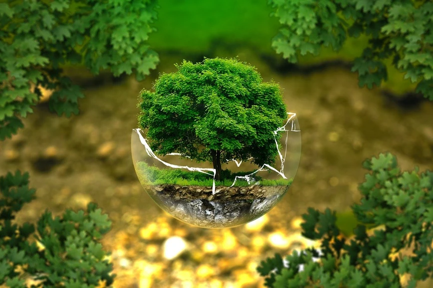 Pixabay/ejaugsburg: Evolving with Changes in Environmental Analysis Series, Part II – Volatiles
