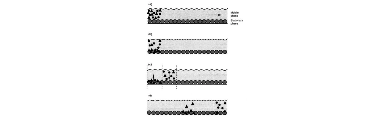 2 THETA: Obr. 5.1 Schéma separace vzorku při průchodu chromatografickým ložem..jpg