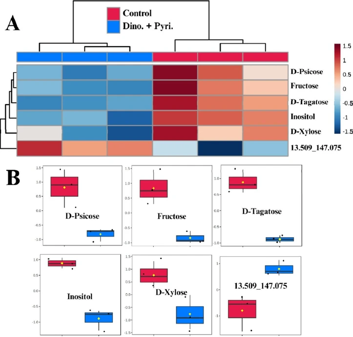 ACS Agric. Sci. Technol. 2025, 5, 11, 2152–2165: Figure 11. (A) Hierarchical clustering heatmaps displaying the distribution of metabolites in coffee seedling samples treated with dinotefuran + pyriproxyfen at 150 + 37.5 g a.i. ha–1 (blue, three columns on the left) and control (red, three columns on the right). (B) Comparative graphs showing the intensity of significantly different compounds between the two treatments. (Control = left bar; Dino. + Pyri. = right bar).