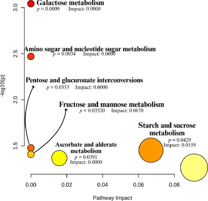 ACS Agric. Sci. Technol. 2025, 5, 11, 2152–2165: Figure 12. Representation of the impact of dinotefuran + pyriproxyfen at 150 + 37.5 g a.i. ha–1 on metabolic pathways in coffee seedlings.