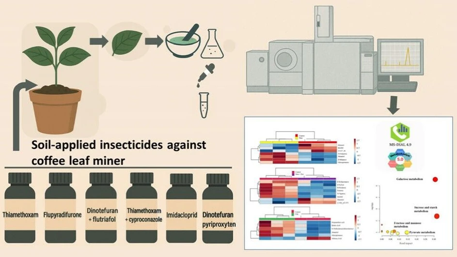 <p>ACS Agric. Sci. Technol. 2025, 5, 11, 2152–2165: Graphical abstract</p>