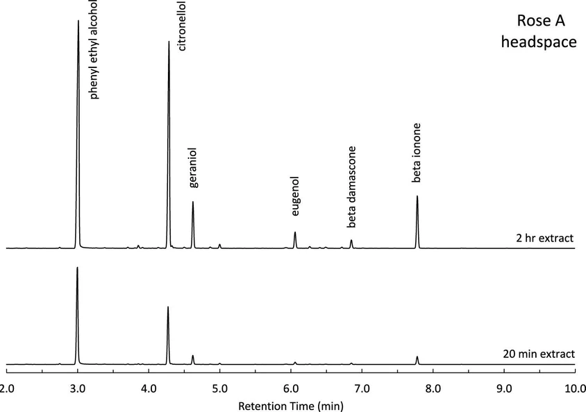 ACS Meas. Sci. Au 2025: Figure 5. Chromatography of standard rose A using SPME for 20 min and 2 h.