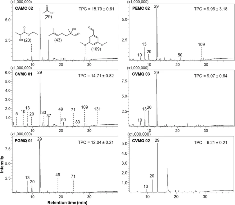ACS Omega 2025, 10, 20, 20550–20561: Figure 3. GC–MS TIC for selected M. quadrifasciata and M. capixaba stingless bee honey. TPC was expressed in mg GAE 100 g–1 of SBH. (21) 2-Hydroxypropanoic acid ethyl ester. (30) Acetic acid. (44) Hotrienol. (110) 3,5-Dimethoxybenzaldehyde.