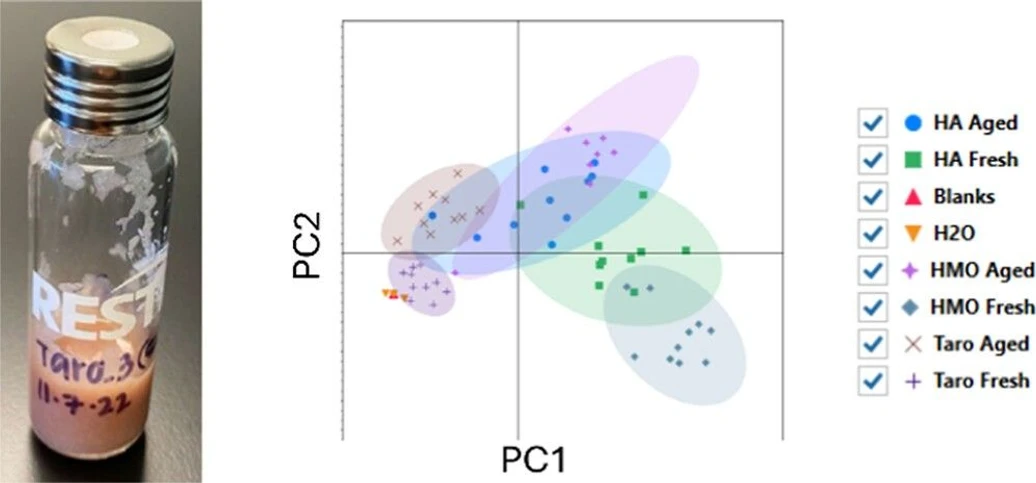 <p>ACS Omega 2025, 10, 20, 20754–20762: Graphical abstract</p>