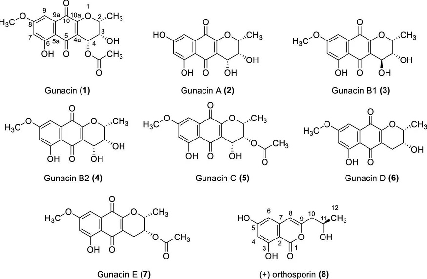 ACS Omega 2025, 10, 22, 23222–23234: Figure 1. List of isolated compounds.