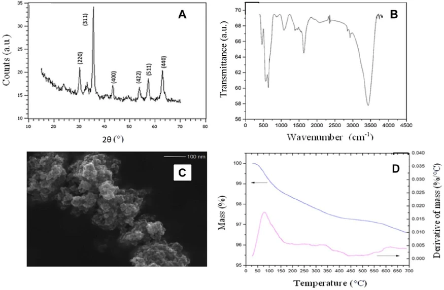 ACS Omega 2025, 10, 28, 30443–30449: Figure 1. X-ray diffraction (A), Fourier transform infrared spectra (B), scanning electron microscopy x60,000 (C), and thermogravimetric analysis of γ-Fe2O3 (D).