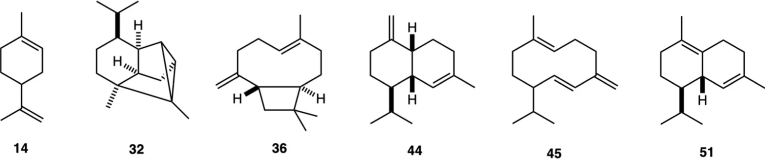 ACS Omega 2025, 10, 38, 44077–44086: Figure 1. Major components (≥3.0% on at least one column) of A. dubia leaf EO. The numbers refer to Table 1: limonene (14), cyclosativene (32), (E)-β-caryophyllene (36), γ-muurolene (44), germacrene D (45), and δ-cadinene (51).