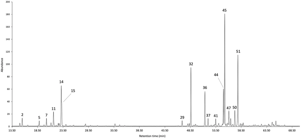 ACS Omega 2025, 10, 38, 44077–44086: Figure 2. GC–MS profile of A. dubia EO on a 5%-phenyl-methyl-polysiloxane stationary phase. The peak numbers refer to major compounds (≥3.0% on at least one column) in Table 1.