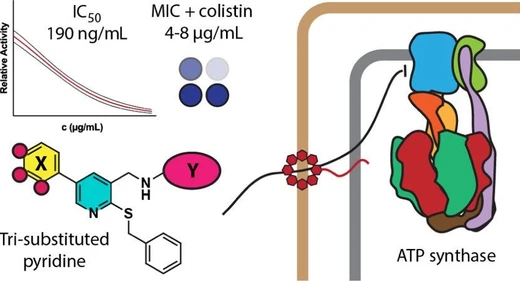 Synthesis and Evaluation of Pyridine-Based Antibacterial Agents that Inhibit ATP Synthase in Acinetobacter baumannii