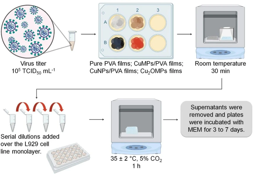 ACS Omega 2025, 10, 40, 46524–46532 - Figure 3. Representative scheme of the assay to evaluate the virucidal photoactivity of the films. Created with BioRender.com.
