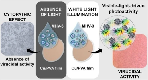 Visible-Light-Driven Photoactivity of Copper/PVA Composite Films against Murine Coronavirus