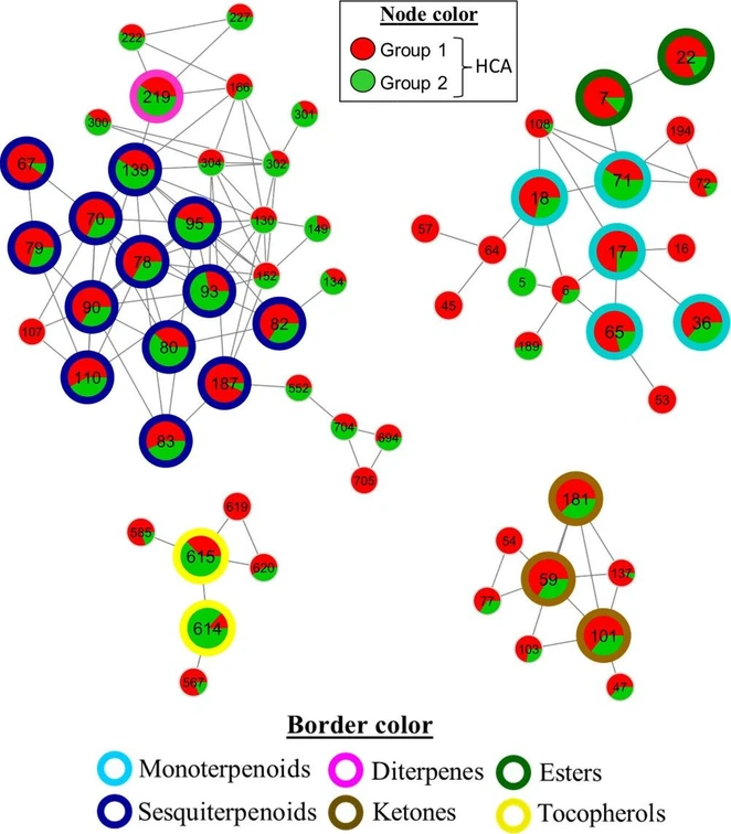 ACS Omega 2025, 10, 40, 47281–47291: Figure 4. Clusters containing annotated metabolites selected from the molecular network. The numerical labels inside the nodes indicate the respective identification numbers (node IDs). The nodes are colored according to the groups obtained from the unsupervised hierarchical cluster analysis (HCA), and the border colors correspond to the metabolite classes.