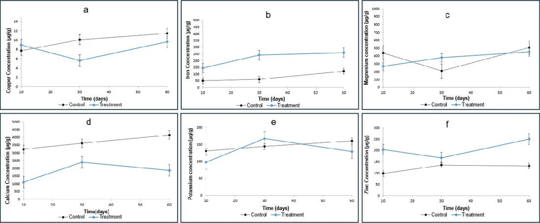 ACS Omega 2025, 10, 46, 56085–56095: Figure 3. Mean concentrations of Cu, Mg, K, Zn, Fe, and Ca in liver determined by ICP–MS. Values are presented as mean ± standard deviation (μg/g). (a) Copper; (b) iron; (c) magnesium; (d) calcium; (e) potassium; and (f) zinc. The control group is represented in black, and the treatment group in blue. Statistical significance was determined by one-way ANOVA (p <0.05).