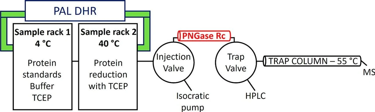 ACS Omega 2026, 11, 17, 25724–25729: Figure 1. Schematic of the automated sample handling system for online protein deglycosylation and desalting. Protein samples, along with 50 mM ammonium bicarbonate and 40 mM TCEP stock solutions were placed in a sample tray chilled to 4 °C, while a second tray heated to 40 °C was used for disulfide bond reduction with TCEP buffer.