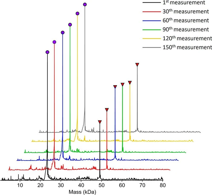 ACS Omega 2026, 11, 17, 25724–25729: Figure 5. Monitoring the stability and performance of PNGase Rc IMER. Trastuzumab heavy chain was completely deglycosylated after 150 injections.