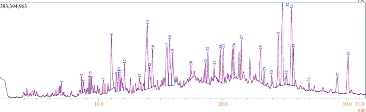ACS Omega 2026, 11, 3, 4021–4036: Figure 3. GC–MS chromatogram of the plant extract of I. mauritiana Jacq.