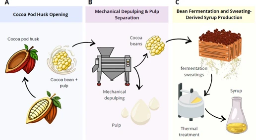 Compositional and Metabolomic Characterization of Major On-Farm Side Streams and Derived Products of Industrial Fine-Flavor Cocoa Processing