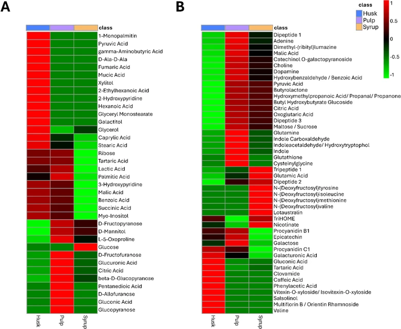 ACS Omega (2026) 11 (40): 61241–61255: Figure 2. Heatmaps of metabolite profiles across cocoa by-products analyzed by GC-MS (A) and LC-MS (B). Rows represent individual annotated metabolites, while columns correspond to the analyzed cocoa byproducts (cocoa pod husk, cocoa pulp juice, and cocoa syrup). Both analytical platforms display matrix-specific metabolic signatures across byproducts. The color scale represents autoscaled values of the total area–normalized relative abundances (row-wise z-scores), where red indicates higher, and green lower, relative levels within each metabolite.