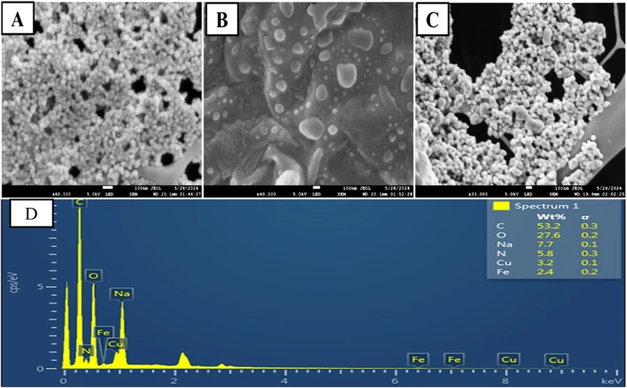 ACS Omega 2026, 11, 8, 13137–13148: Figure 5. PS micro/nano plastic in the basil plant (A) leaves, (B) shoot, (C) root, (D) energy-dispersive X-ray (EDX).