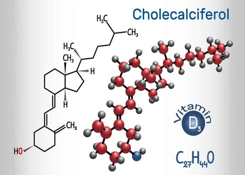 Cholekalciferol - zdroj vitamínu D₃ (Potraviny živočišného a rostlinného původu, Obiloviny)